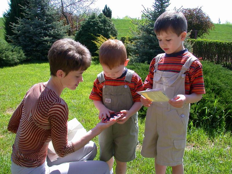 dscn0871_800.jpg